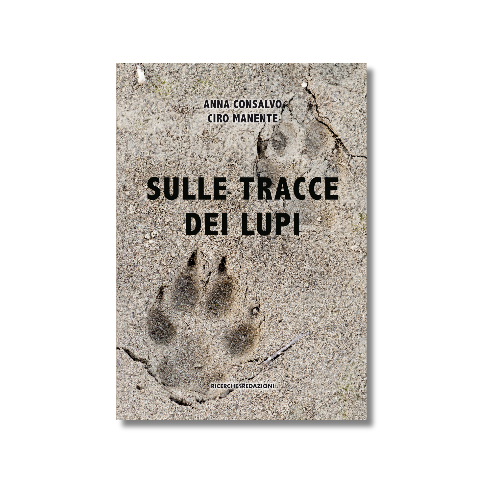 Sulle tracce dei lupi