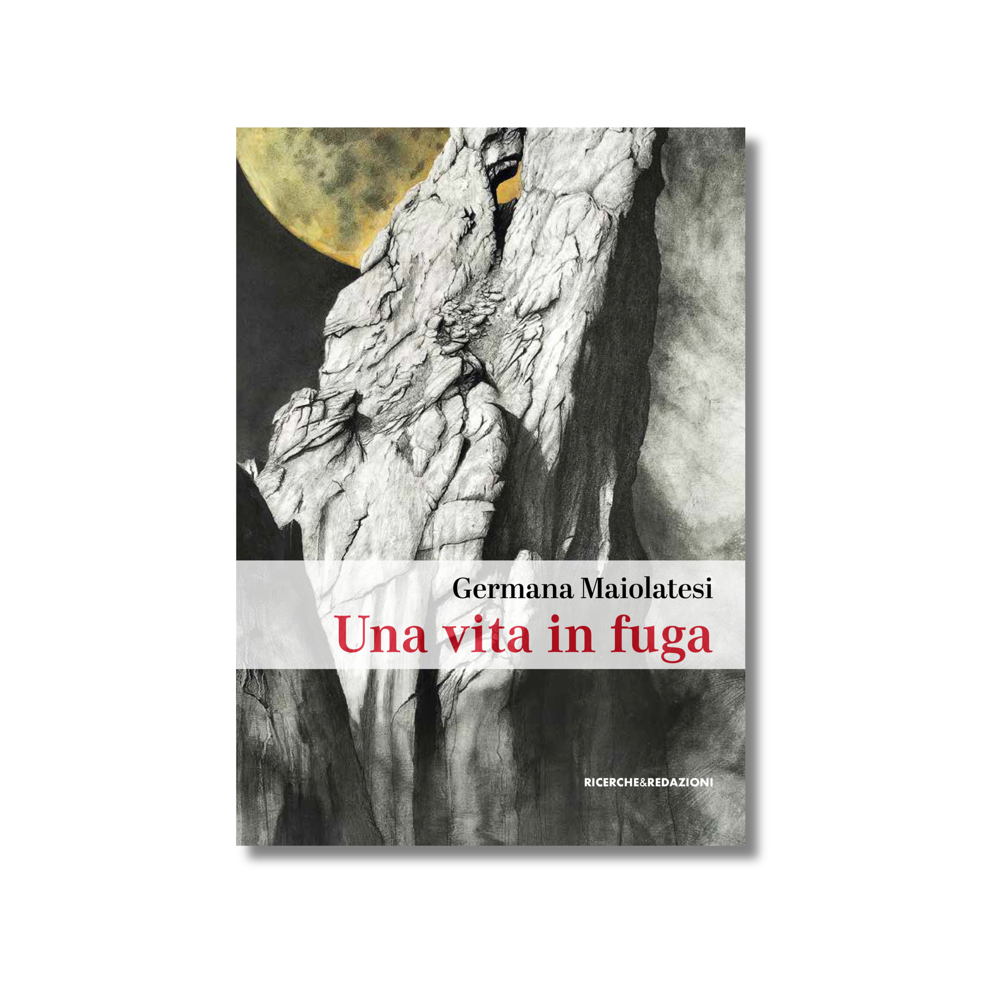 Una vita in fuga