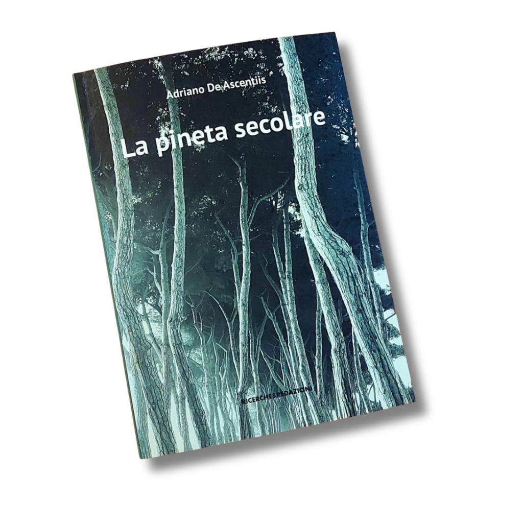 La pineta secolare