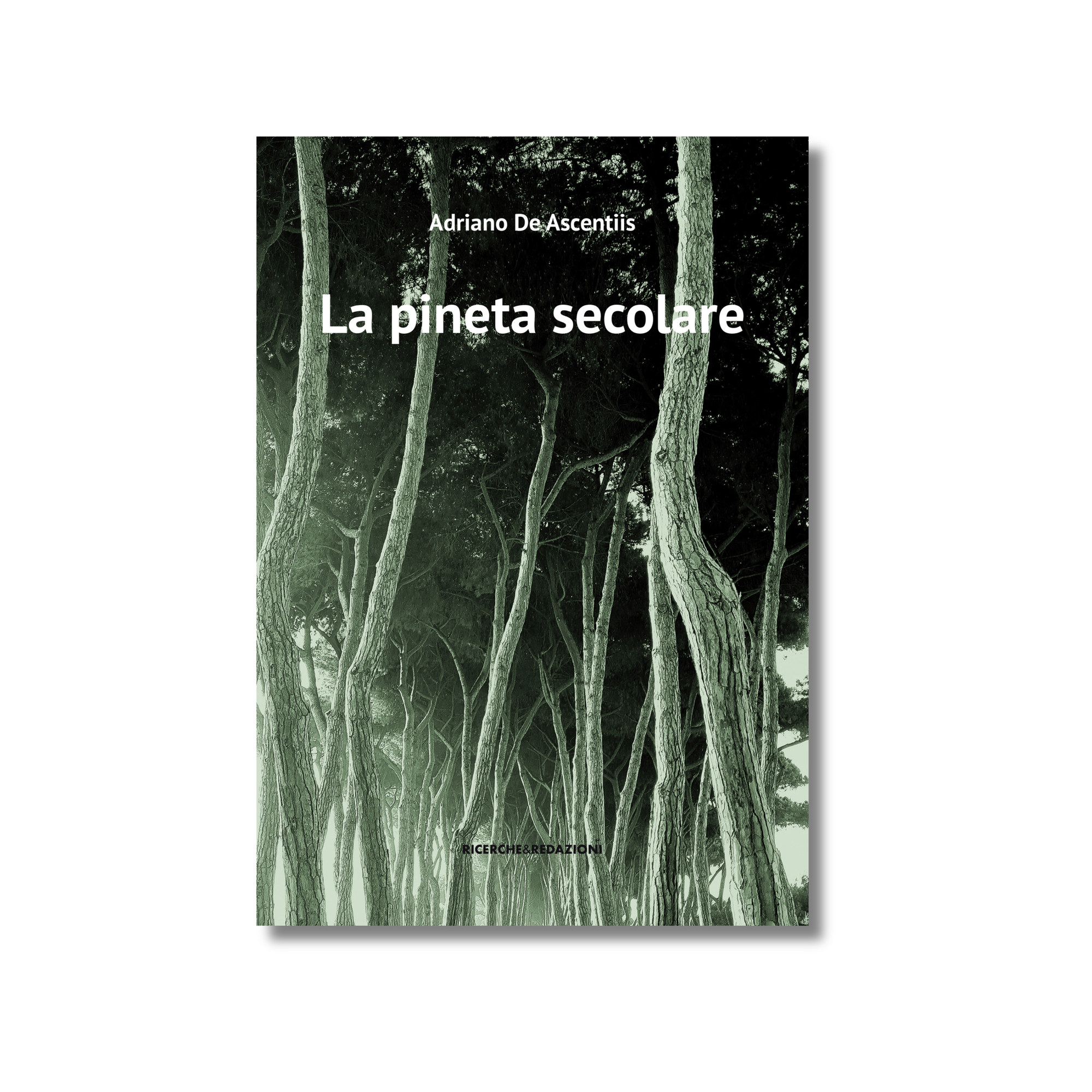 La pineta secolare