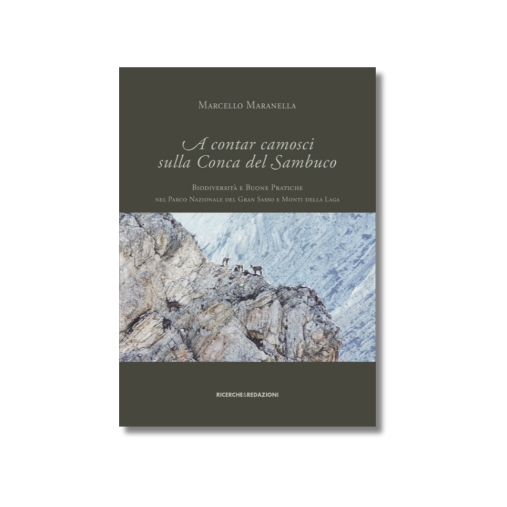 A contar camosci sulla conca del sambuco