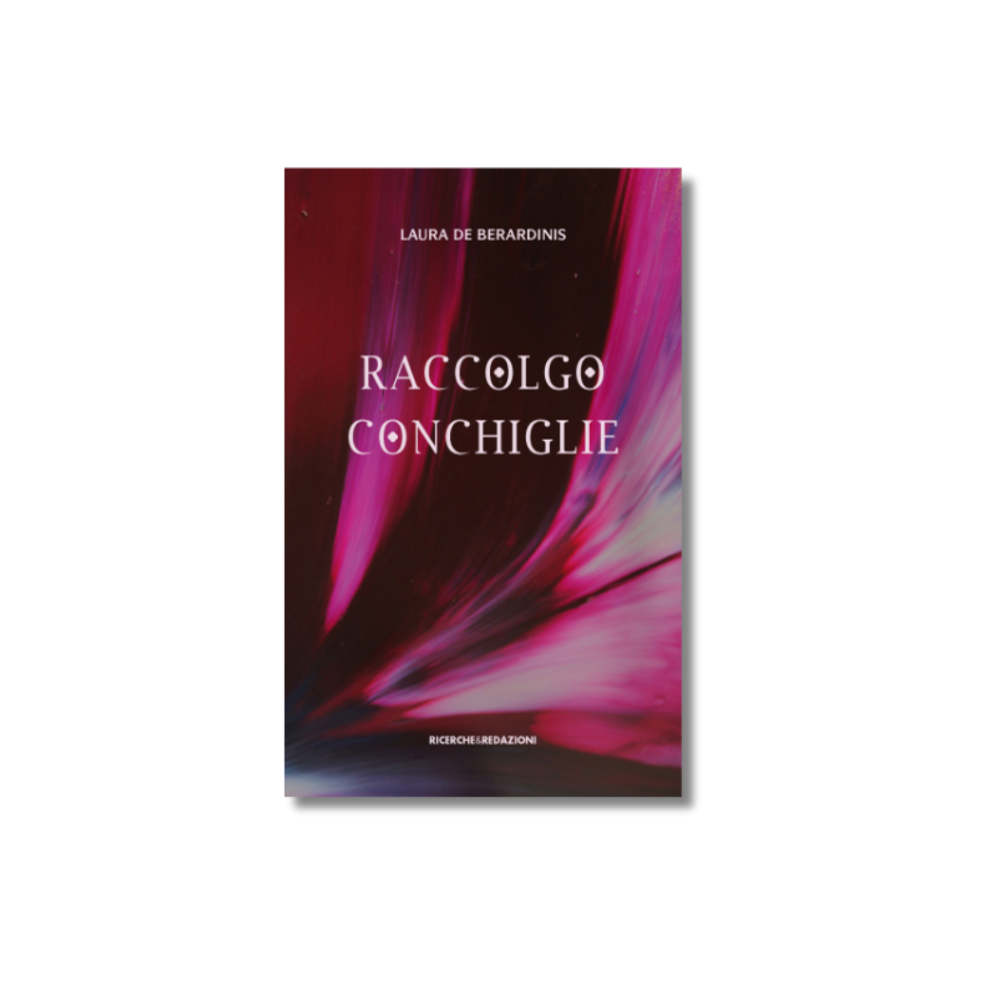 Raccolgo conchiglie