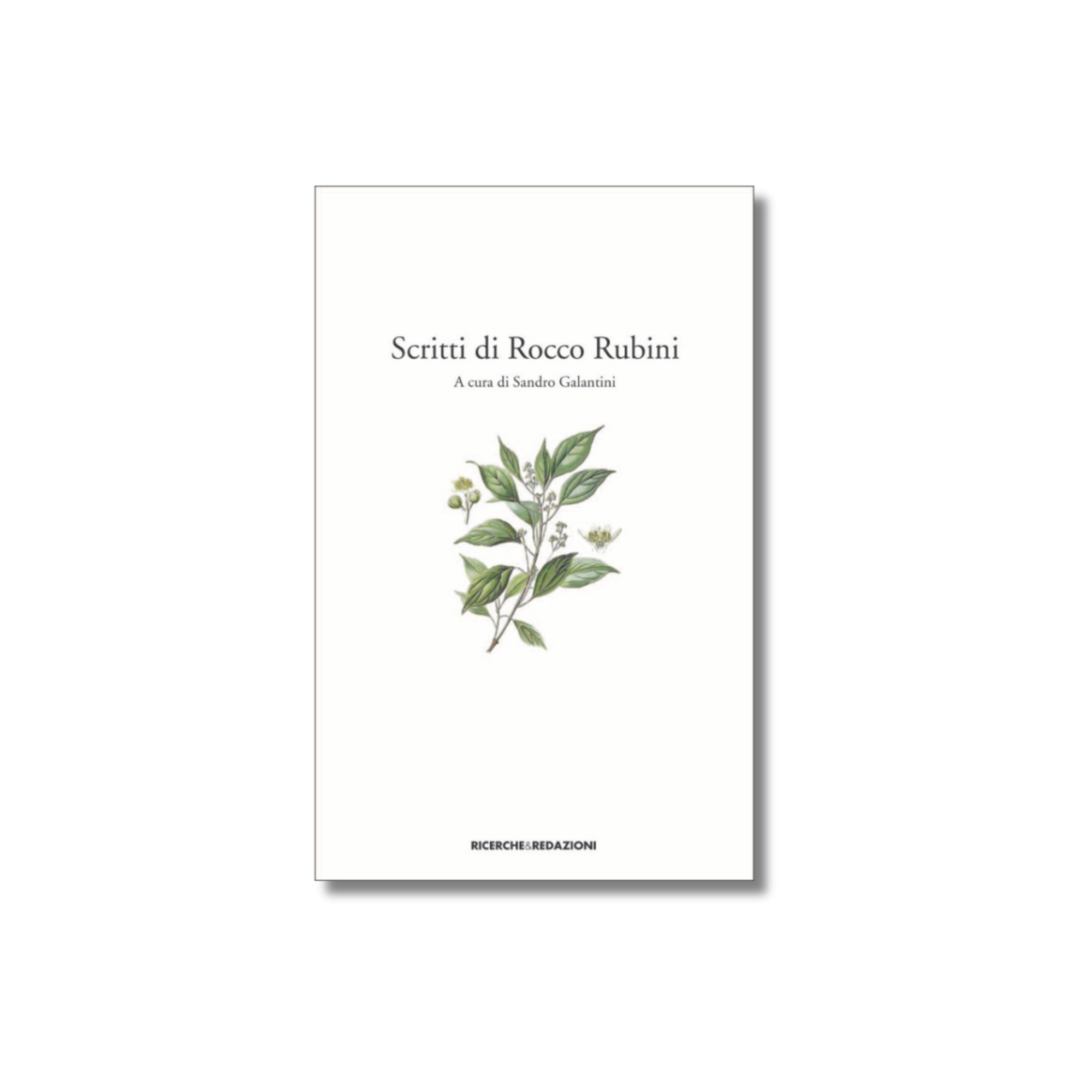 Scritti di Rocco Rubini